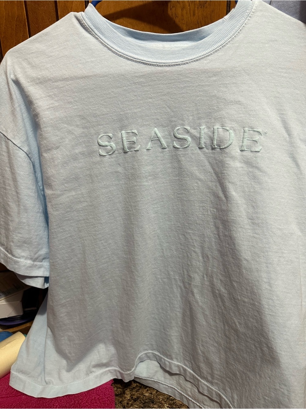 Comfort Colors Light Blue 'SEASIDE' Embroidered Short Sleeve Tee